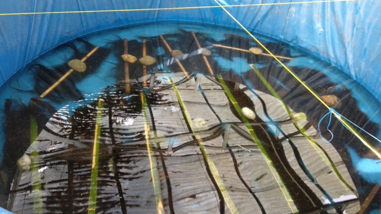 gambar whatsapp 2024 10 02 pukul 16.15.06 4440eea0 768x432