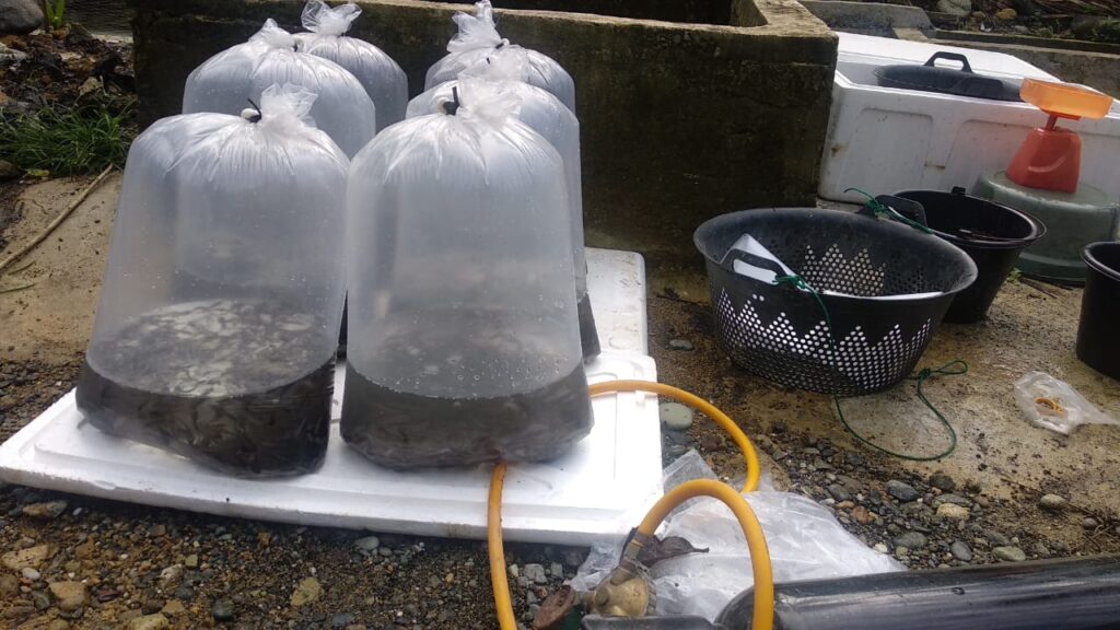 gambar whatsapp 2024 10 02 pukul 16.15.31 4a9ea442 1024x576